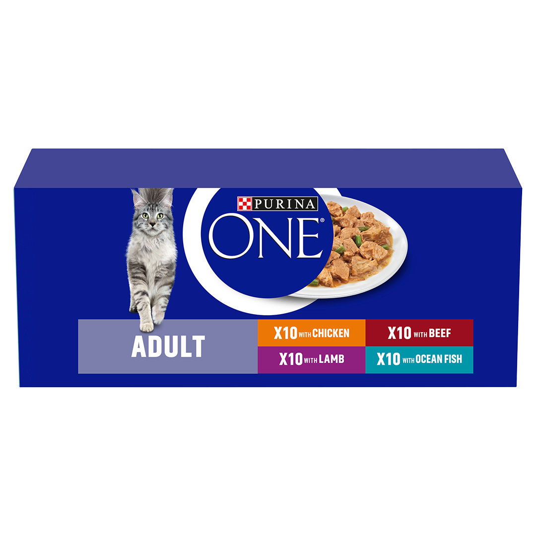 PURINA ONE Mini Fillets Mixed Selection in Gravy Purina